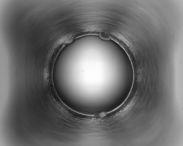 X0000094070922200710261243