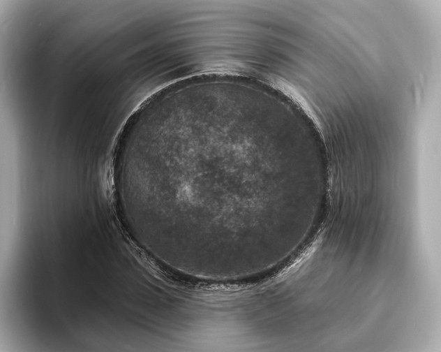X0000094070923200710261243