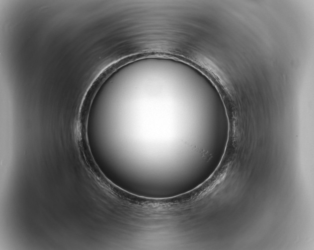 X0000094070924200710261243