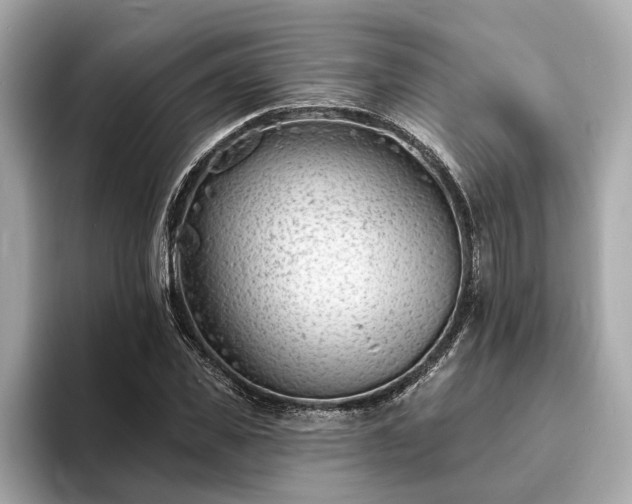 X0000094070925200710261243