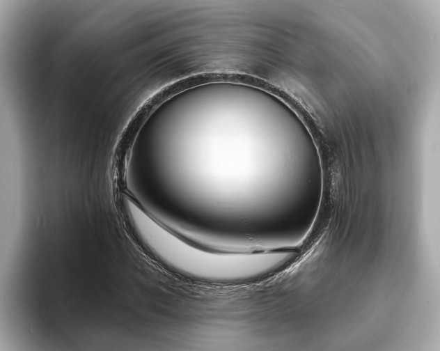 X0000094070926200710261243
