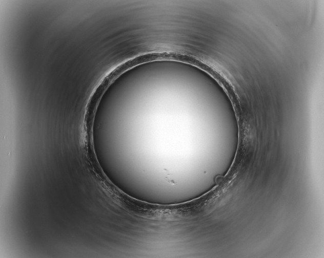 X0000094070927200710261243