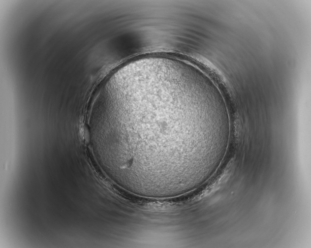 X0000094070929200710261243