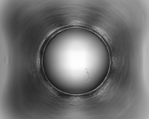 X0000094070931200710261243