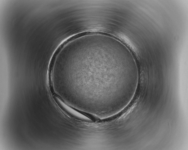 X0000094070932200710261243