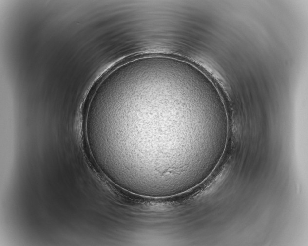 X0000094070933200710261243