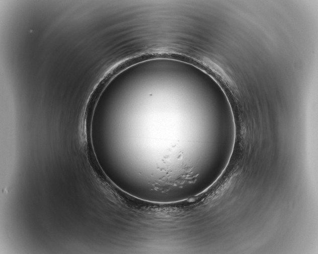 X0000094070934200710261243