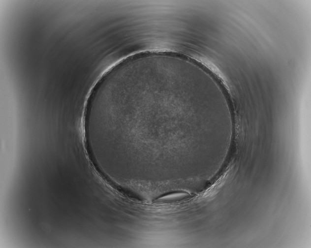 X0000094070935200710261243