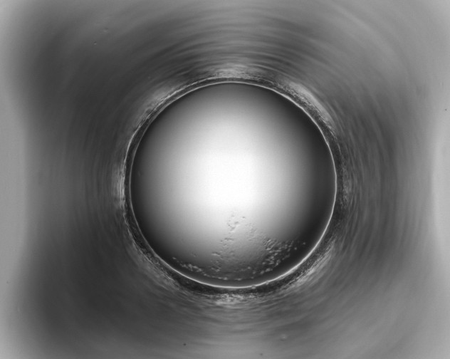 X0000094070938200710261243
