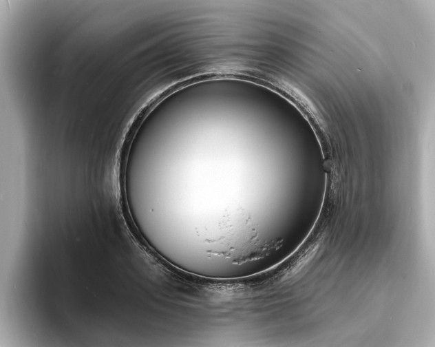X0000094070939200710261243