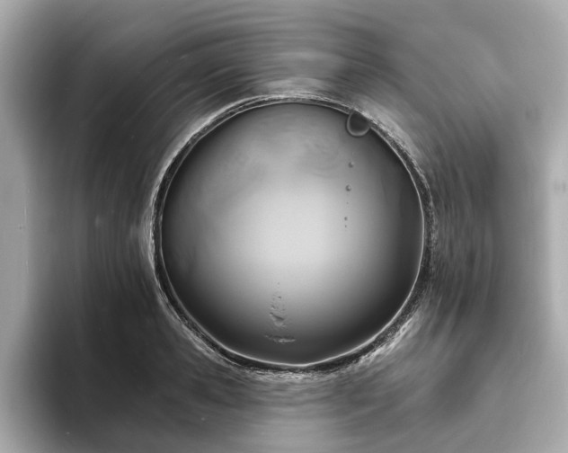 X0000094070941200710261244