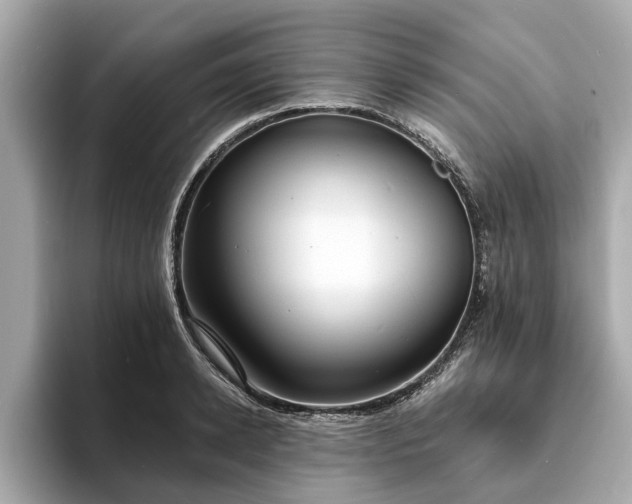 X0000094070942200710261244