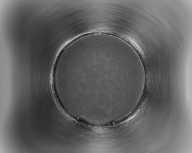 X0000094070944200710261244