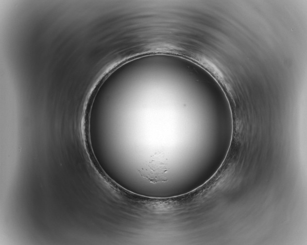 X0000094070947200710261244