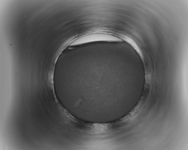 X0000094070954200710261244
