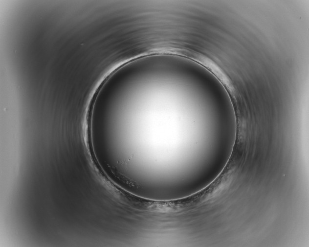 X0000094070955200710261244