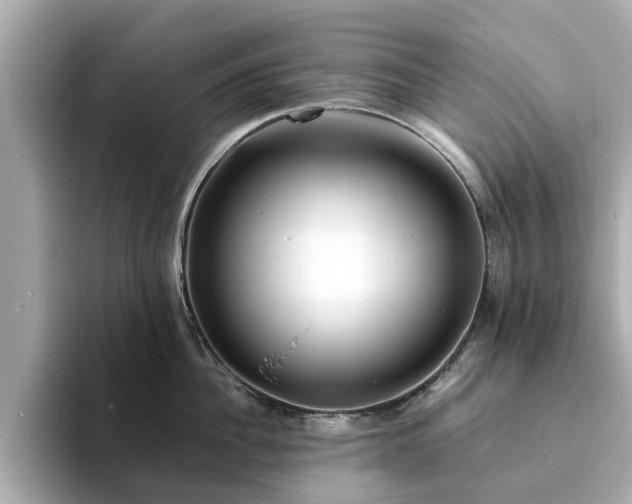 X0000094070956200710261244