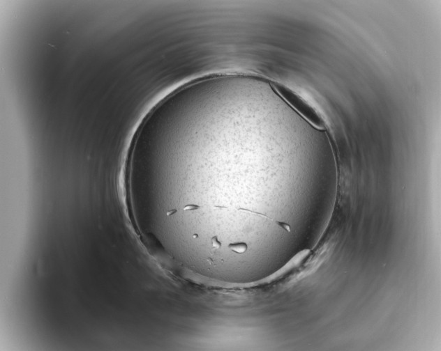 X0000094070959200710261244