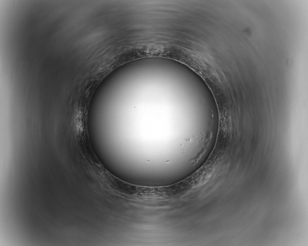 X0000094070962200710261243