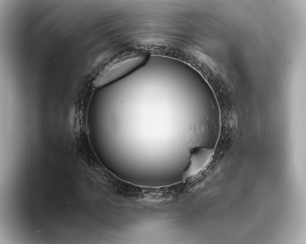 X0000094070965200710261243