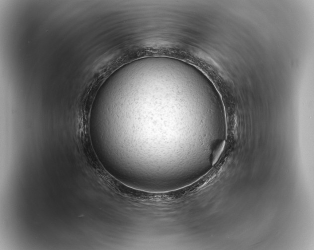 X0000094070966200710261243