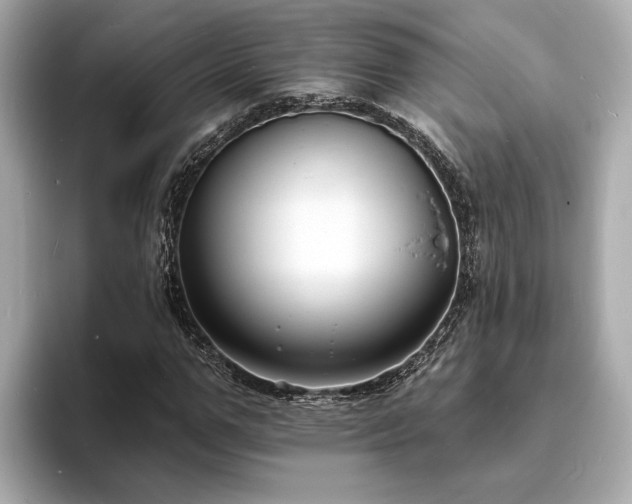 X0000094070967200710261243