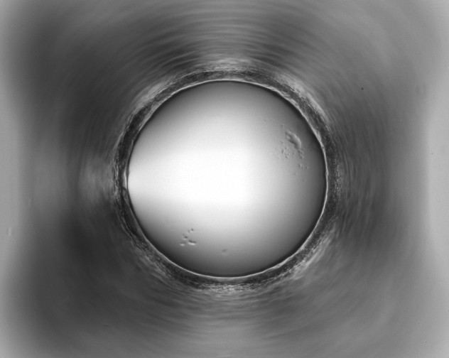 X0000094070970200710261243