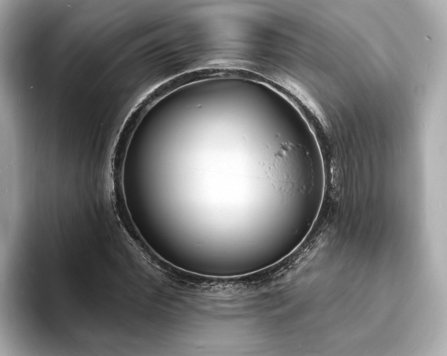 X0000094070972200710261243
