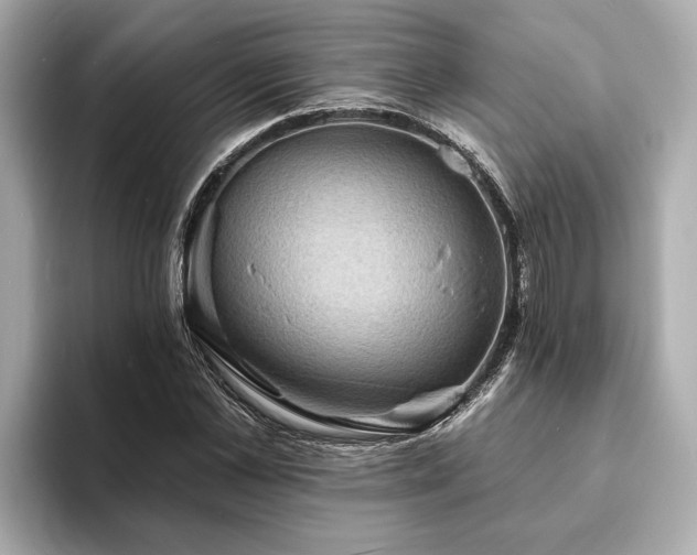 X0000094070973200710261243