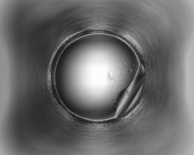X0000094070976200710261243