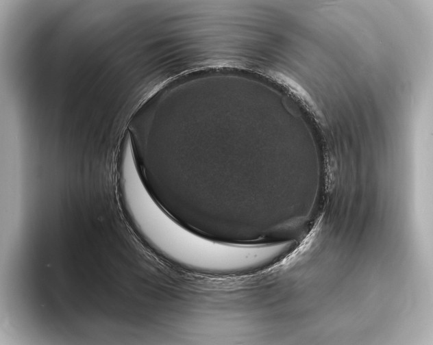X0000094070977200710261243