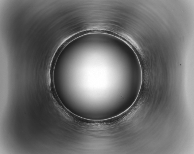 X0000094070980200710261243