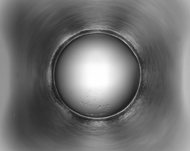 X0000094070982200710261243