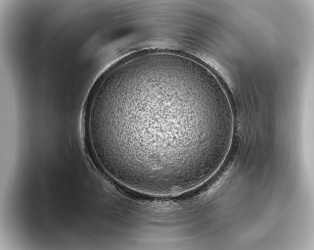 X0000094070983200710261243