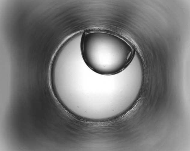 X0000094070984200710261243