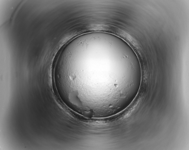 X0000094070986200710261243