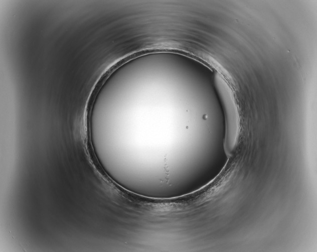 X0000094070988200710261243
