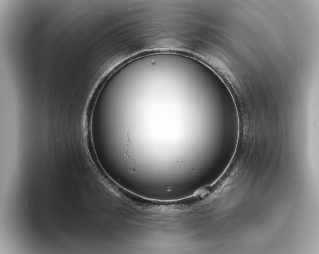 X0000094070990200710261243