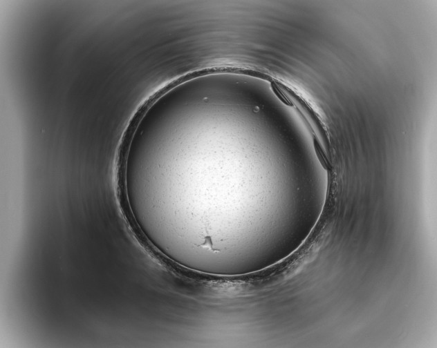 X0000094070991200710261243