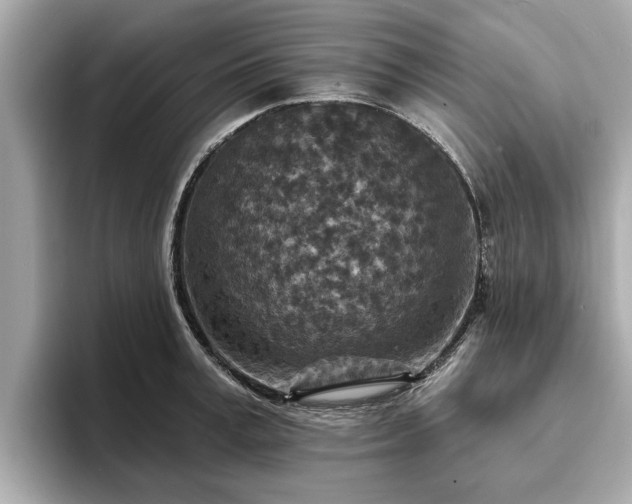 X0000094070995200710261243