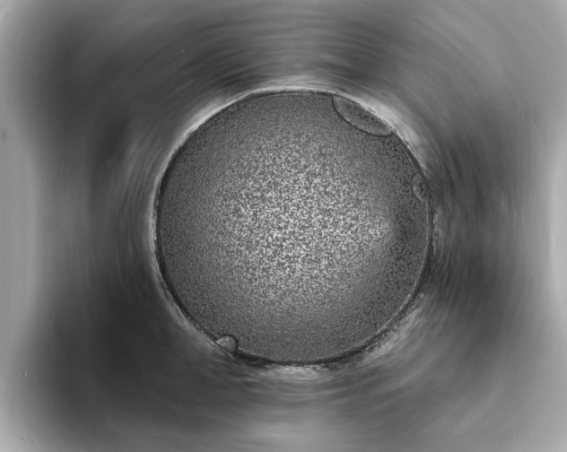 X0000094070998200710261243