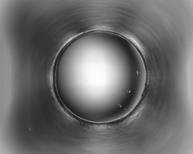X0000094070999200710261243