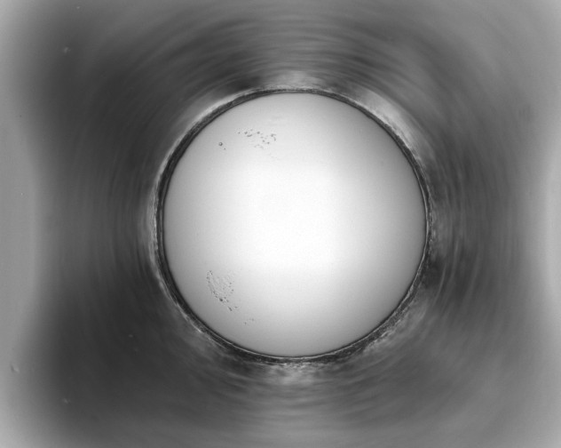 X0000094071000200710261243