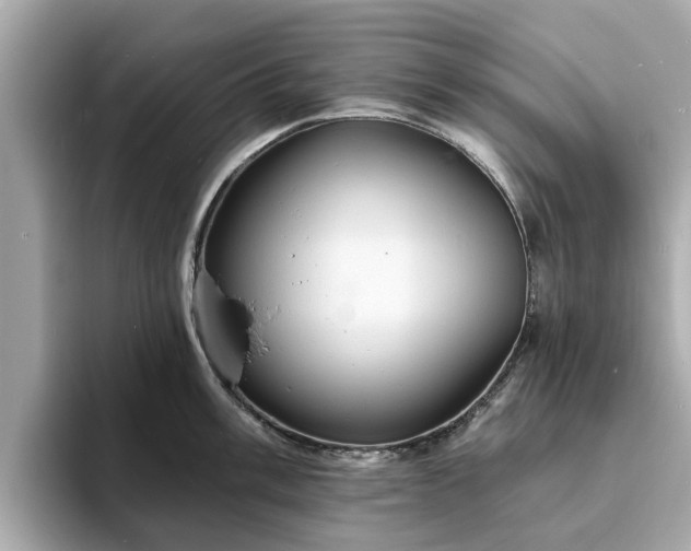 X0000094071003200710261243