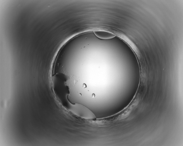 X0000094071004200710261243