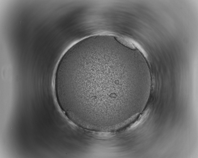 X0000094071007200710261242