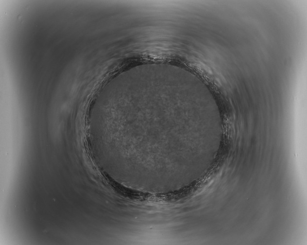 X0000094071009200710261242