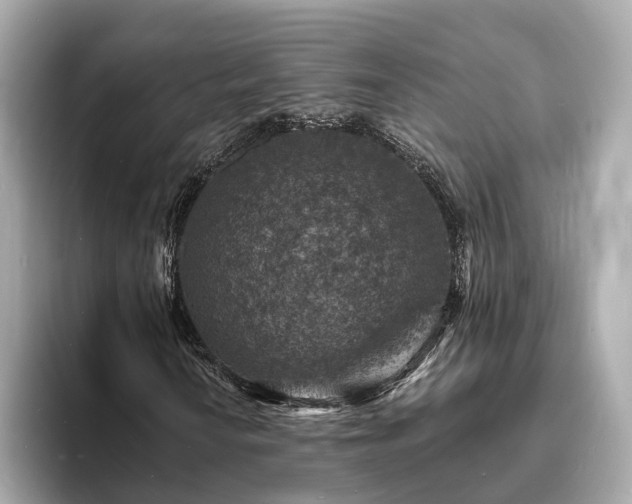 X0000094071010200710261242