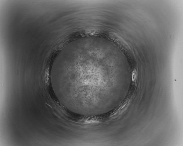 X0000094071011200710261242
