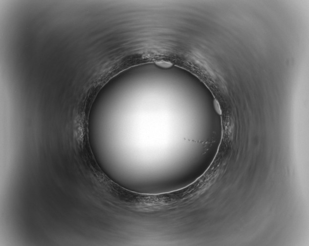 X0000094071012200710261242
